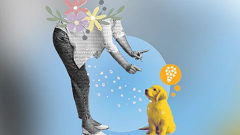 Mastering puppy training: Essential techniques for the first week