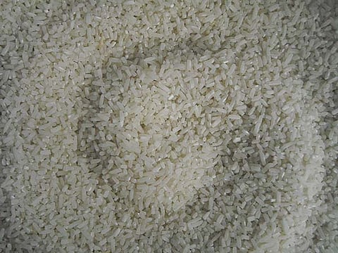 P20/kilo rice on schedule
