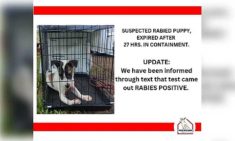 Bantay Hayop Davao, an animal advocate group, has warned people who came into contact with a puppy along Puan Bypass Road to get vaccinated, as the dog tested positive for the rabies virus.