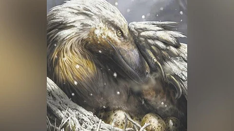 When the first warm-blooded dinosaurs roamed Earth