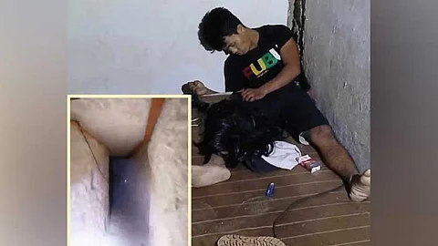 3 misukol sa polis, 1 patay