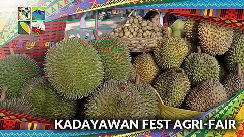 As part of the vibrant 39th Kadayawan Festival, the Kadayawan Agri-Fair has been extended from August 1 to August 31 at Magsaysay Park, Davao City.