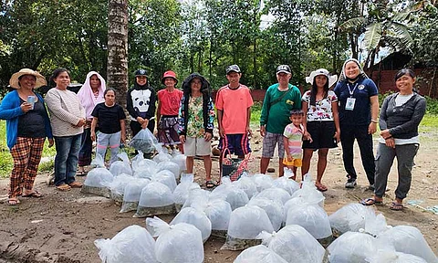 The City Agriculturist Office (CAgrO) has been actively supporting local fisherfolk in Davao City to boost food security by distributing tilapia fingerlings.