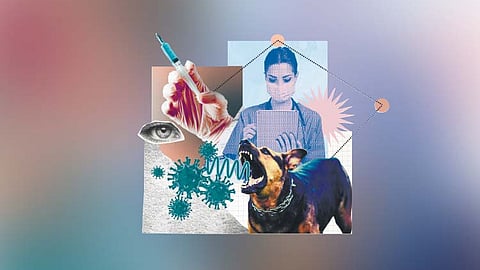 Fight against rabies, mobilizing communities for pet health