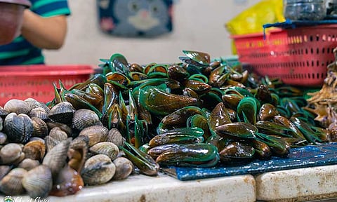 Authorities in Digos City seized over 276 kilograms of mussels on Wednesday, October 2, 2024. These mussels were traced back to areas in Samar and Leyte that are currently under a Red Tide alert. Tests confirmed the presence of harmful toxins in shellfish from these areas, making them unsafe for consumption.