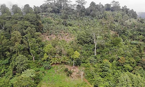 DENR: No trekking in Tagurano