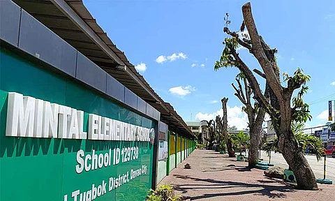 Mintal Elementary School emphasized that the topping of trees within and around its campus was solely for the safety of the students.