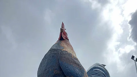 GUINNESS CERTIFIED: The "Manok ni Cano Gwapo" at Campuestohan Highland Resort in Talisay City, Negros Occidental, has been officially recognized by Guinness World Records as the largest building shaped like a chicken. Owner Ricardo Tan inaugurated the 115-foot hotel, which features 15 rooms, on October 19, 2024.