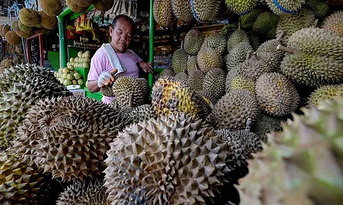 Durian Summit to elevate export quality standards