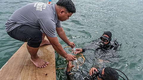 ‘No take zone’ in SRP waters looms