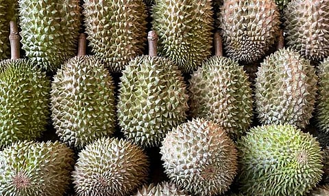 Is durian bad for hypertensive?