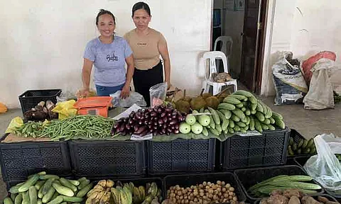 CAgrO to Dabawenyos: Join Organic Agri Month