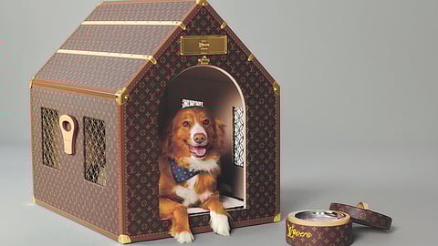 CCAWC proposes budget for animal
welfare programs