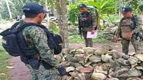 Maritime cops, Mafar seize P45-M giant clam shells