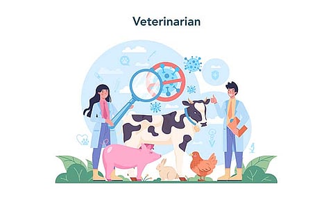 ONE HEALTH APPROACH. The significance of the relationship and interconnectedness between the health of human beings, animals, and the environment must be emphasized to the public to prevent zoonotic diseases. "Educating all the people that the health of human beings, animals, and their environment is interrelated is paramount in suppressing zoonosis," said Dr. Roel Nickelson Solano, Research Coordinator-College of Health Sciences Education at the University of Mindanao.
