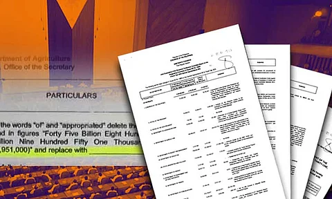 Ex-DBM Sec calls for transparency over missing Bicam report