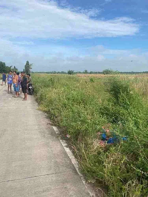 Igsuon sa kandidato nga konsehal giihaw