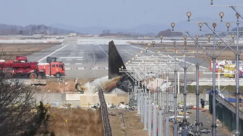 Bird remains discovered in crashed Korean plane