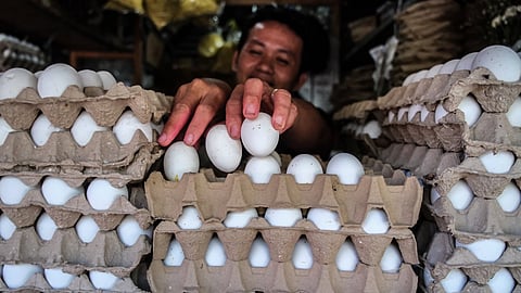 Carbon Market vendors fear steep rent hikes