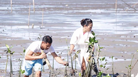 A couple joined the mangrove planting activity prior to their wedding set of February 14, 2025.