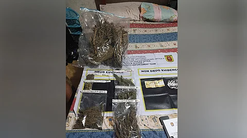 Dried marijuana