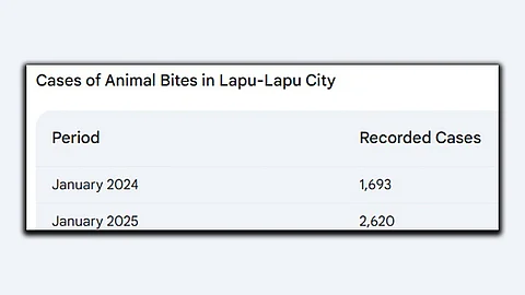 Animal bite cases in Lapu rise by 54% in January