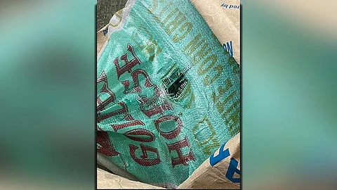 Python found in Pajac home