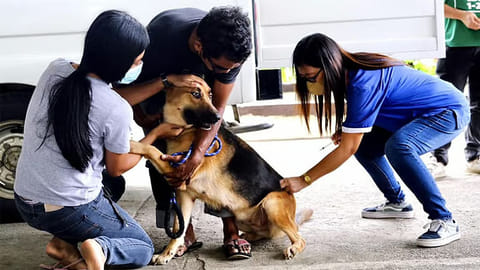 DOH warns public vs rabies threat