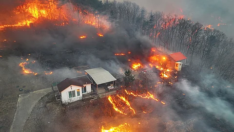 Houses burn in a village after being engulfed by a wildfire fueled by strong winds in Uiseong, South Korea, Monday, March 24, 2025. (AP)