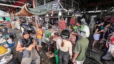 Carbon market vendors secure lease contracts