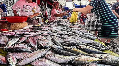 Presyo sa isda sa Carbon Public Market misaka na