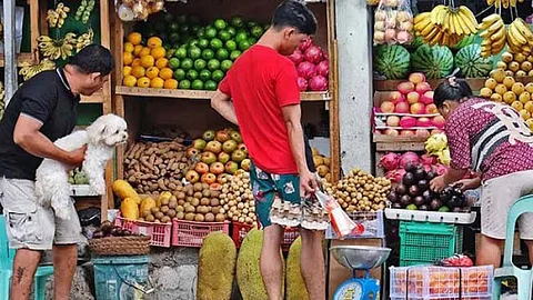 BSP projects low inflation for April