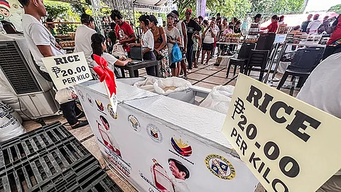 Guv halts P20 rice sale pending Comelec nod