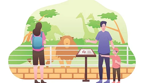 What not to do around wild animals