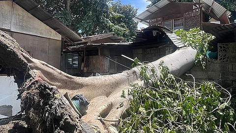 Balay natumbahan sa dakong kahoy