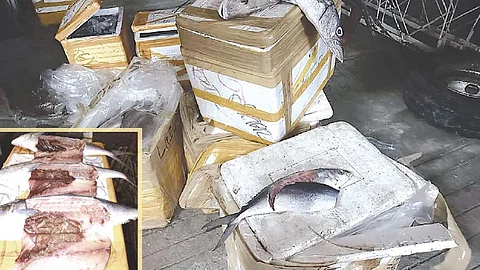 Opisyal nanawagan nga dynamite fishing undangon