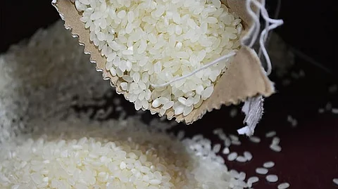 P20 nga bugas ipatuman sa Mindanao karong Hulyo