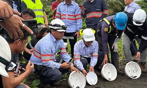 RELEASE OF PAWIKAN HATCHLINGS. TSI team members, together with pawikan handling experts from Ridge to Reef set free 67 pawikan hatchlings at the coastal area of the Therma South power plant in Binugao, Toril, Davao City.