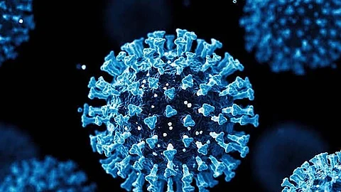 Bacolod CHO issues health advisory on mpox