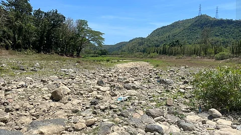 Tell it to SunStar: Echoes from a dying river