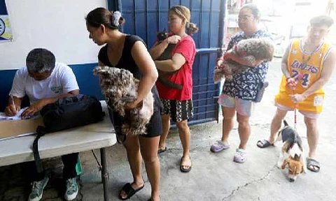 FREE VAX. Manila residents queue up to avail of free anti-rabies vaccine in Barangay 735, Malate, Manila on Aug. 7, 2024. The Department of Health has recorded a 32-percent drop in the number of rabies cases (183 TO 124) from Jan. 1 to May 17 this year compared to the same period last year. (PNA photo by Yancy Lim)