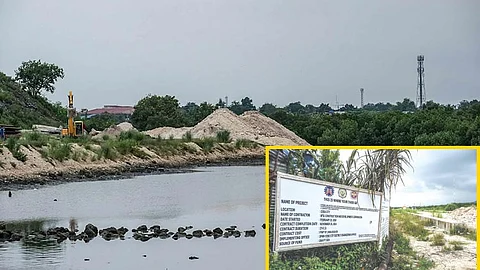 Cebu City halts road project to protect mangroves, wildlife