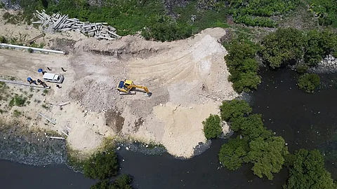 Mangrove road project temporarily halted for review