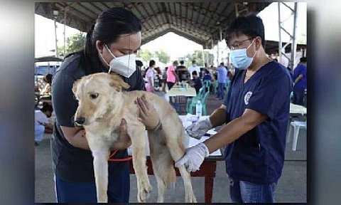 SAFE PETS. Personnel from the Pangasinan Provincial Veterinary Office vaccinate a dog against rabies in Calasiao town, Pangasinan in an undated photo. The Philippine Health Insurance Corp. (PhilHealth) on Friday (June 6, 2025) reminded the public to avail of its animal bite treatment package amid reported animal bite incidents and rabies concerns. (Photo courtesy of province of Pangasinan)