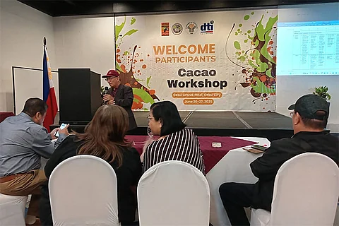 Philippines cacao industry unveils 5-year development plan