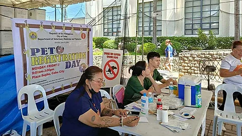 Cebu City rolls out free pet services, extends vax drive until July 15