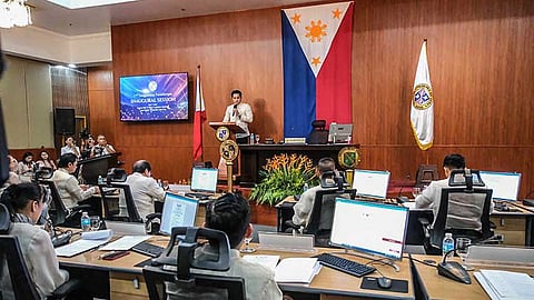 Provincial Board names new floor leader, committee chairpersons