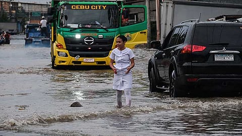 Adunay 141 ka kaso sa leptospirosis sa CV
