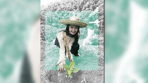 Having bean in Davao planting coffee, findings roots (Part 1 of 2)