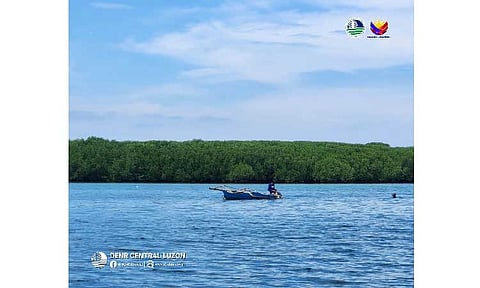 Lone Central Luzon marine sanctuary raises bar for eco-conservation